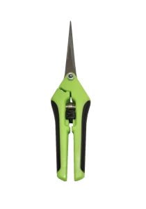 Floristsax - 'Florianna'